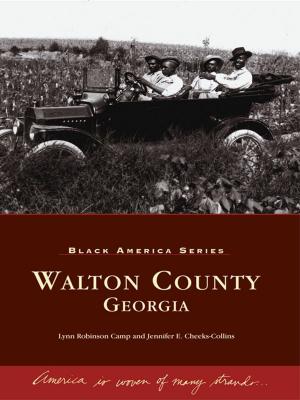 Cover of the book Walton County, Georgia by Stephen E. Drew