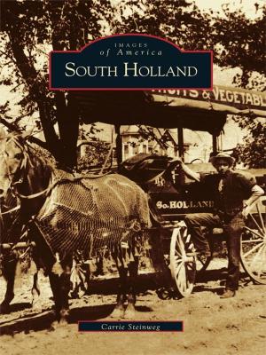 bigCover of the book South Holland by 