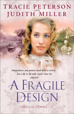 Book cover of Fragile Design, A (Bells of Lowell Book #2)