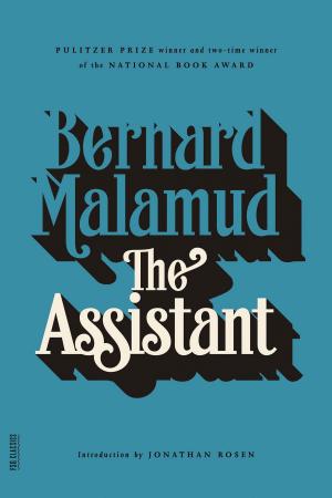 Book cover of The Assistant