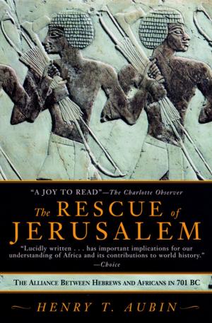 Cover of the book The Rescue of Jerusalem by Janwillem van de Wetering