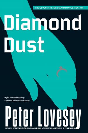 Cover of the book Diamond Dust by Barbara Cleverly