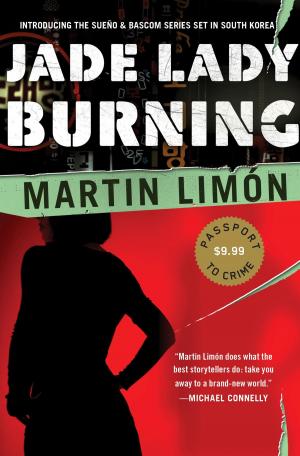 Cover of the book Jade Lady Burning by James R. Benn