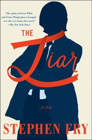 Cover of the book The Liar by AR DeClerck