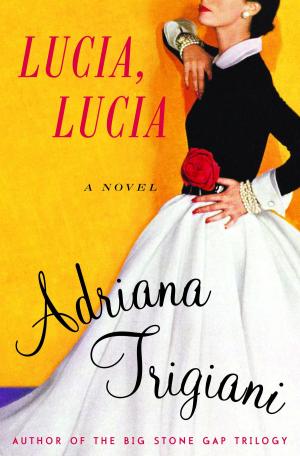 Cover of the book Lucia, Lucia by Arundhati Roy