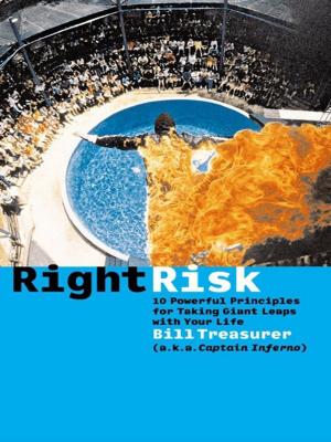 bigCover of the book Right Risk by 