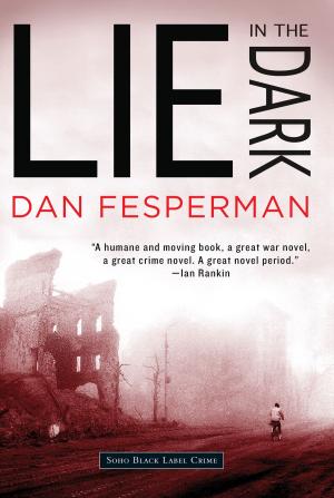 Cover of the book Lie in the Dark by Marc Sandhomme