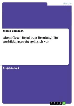Cover of the book Altenpflege - Beruf oder Berufung? Ein Ausbildungszweig stellt sich vor by Anna Theresa Wendel
