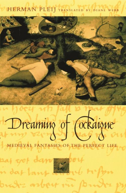 Cover of the book Dreaming of Cockaigne by Herman Pleij, Columbia University Press