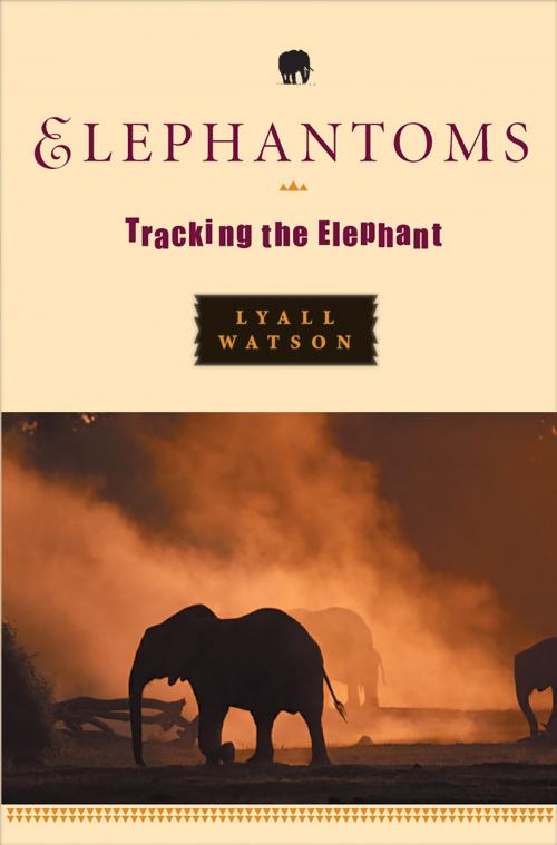 Cover of the book Elephantoms: Tracking the Elephant by Lyall Watson, W. W. Norton & Company