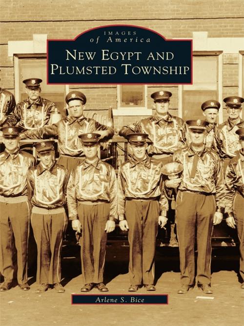 Cover of the book New Egypt and Plumsted Township by Arlene S. Bice, Arcadia Publishing Inc.