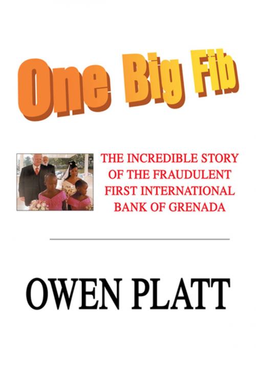 Cover of the book One Big Fib by Owen Platt, iUniverse