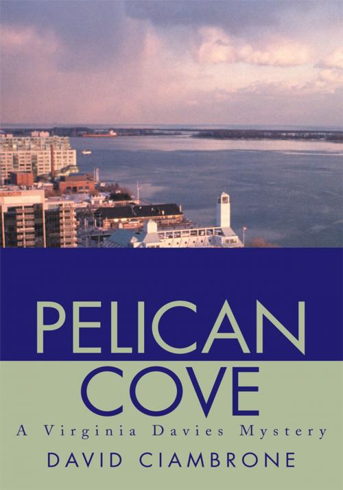 Cover of the book Pelican Cove by David Ciambrone, iUniverse