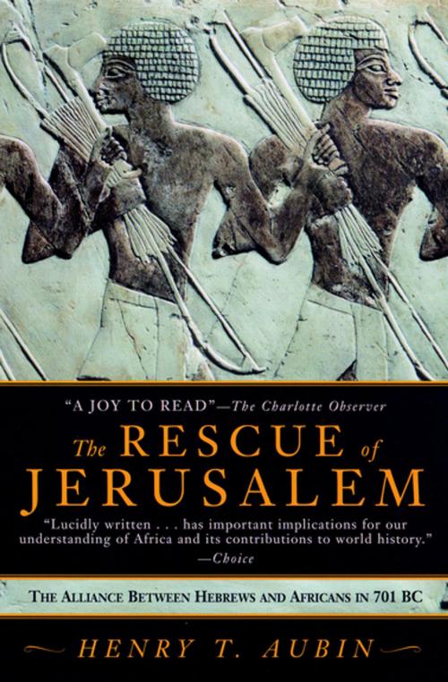 Cover of the book The Rescue of Jerusalem by Henry T. Aubin, Soho Press