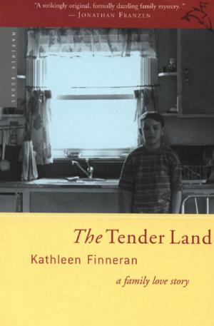 Cover of the book The Tender Land by Lisa Yockelson