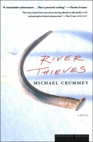 Cover of the book River Thieves by Jessie Clever