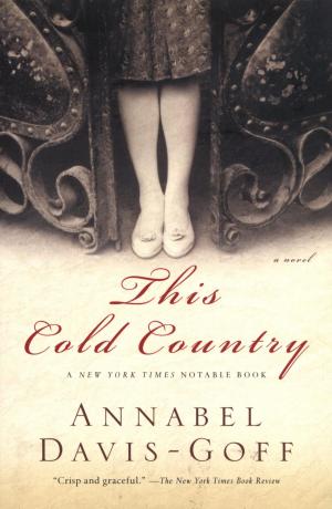 Cover of the book This Cold Country by José Saramago