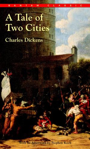 Cover of the book A Tale of Two Cities by Elizabeth Davies