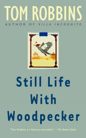 Book cover of Still Life with Woodpecker