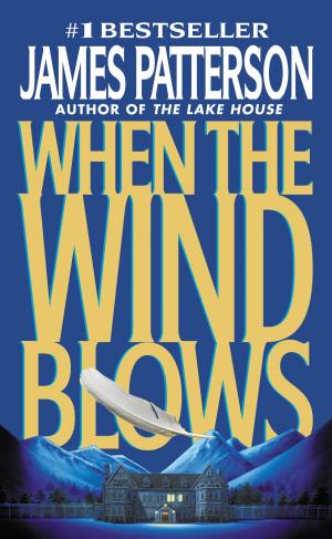 Cover of When the Wind Blows by James Patterson, Little, Brown and Company