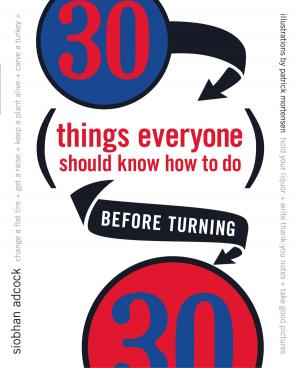 Cover of the book 30 Things Everyone Should Know How to Do Before Turning 30 by GEORGE RADU ROSPINUS