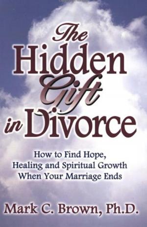 Book cover of Hidden Gift in Divorce