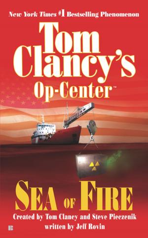 Cover of the book Sea of Fire by Tom Clancy