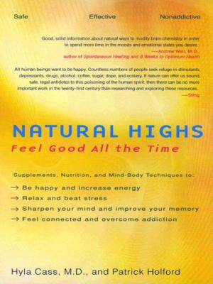 Cover of the book Natural Highs by SEVERINE CHERIX