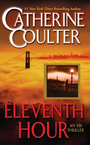 Cover of the book Eleventh Hour by Ken Leek
