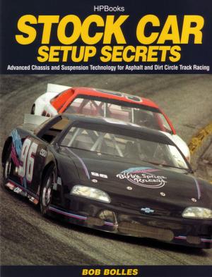 Cover of the book Stock Car Setup Secrets HP1401 by Stephen Dobyns