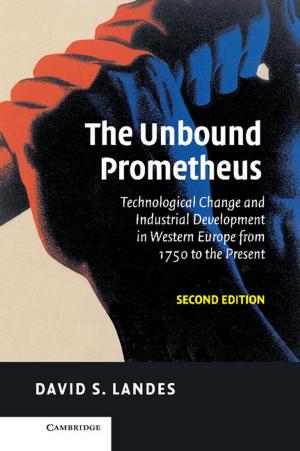 Cover of the book The Unbound Prometheus by Roderic Broadhurst, Thierry Bouhours, Brigitte Bouhours