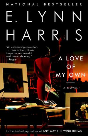 Cover of the book A Love of My Own by Michael Herr
