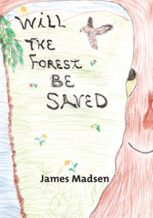 Cover of the book Will the Forest Be Saved by Verling CHAKO Priest