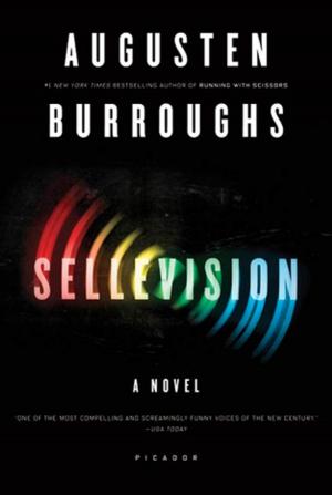 Cover of the book Sellevision by Steven Long