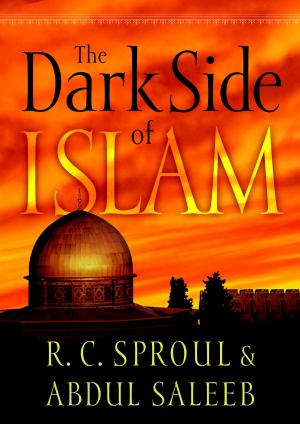 Book cover of The Dark Side of Islam