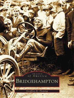 Book cover of Bridgehampton