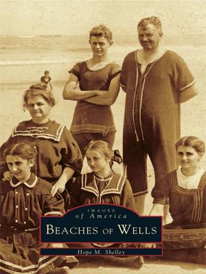 Cover of the book Beaches of Wells by Frank Campbell