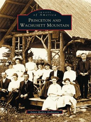 Cover of the book Princeton and Wachusett Mountain by Brian Burns