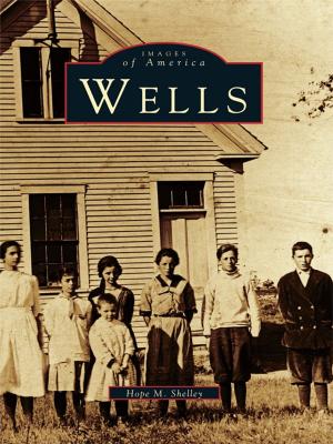 Cover of the book Wells by Barry A. Sanders