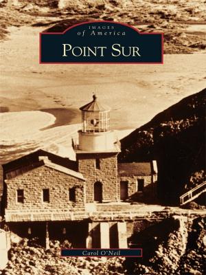 Cover of the book Point Sur by Joseph W. Dieffenbacher, Jeremy T. Dieffenbacher