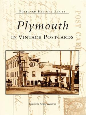 Cover of the book Plymouth in Vintage Postcards by Dominic Candeloro, Barbara Paul