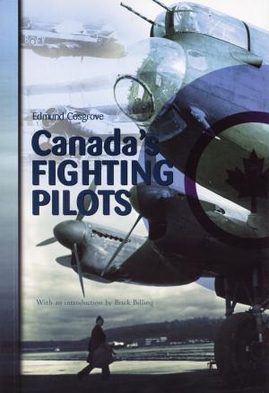 Cover of the book Canada's Fighting Pilots by Peter Larisey