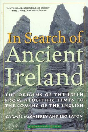 Cover of the book In Search of Ancient Ireland by Thomas Dyja