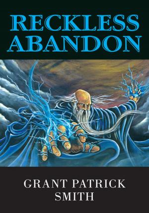 Cover of the book Reckless Abandon by John C. Bird