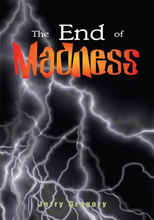 Cover of the book The End of Madness by scott wellinger