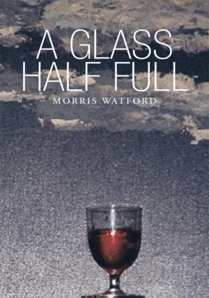 Cover of the book A Glass Half Full by Robert W. Beard