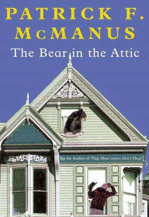 Cover of the book The Bear in the Attic by J.R. Finkle