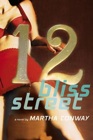 Cover of the book 12 Bliss Street by Theresa Schwegel