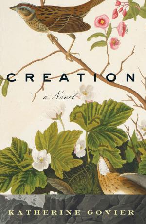 Cover of the book Creation by Natalie Goldberg