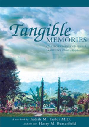 Cover of the book Tangible Memories by Taylor Goetz